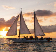 Sunset Sail Wind Wine Key West Travel Guide Visitor Information