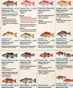 Fish identification chart from Florida Fish and Wildlife